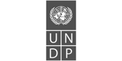 Razvojni program Ujedinjenih nacija (UNDP)